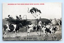 Automobile Comic We Never Stop For Cows New Haven CT UNP DB Postcard Q4 picture
