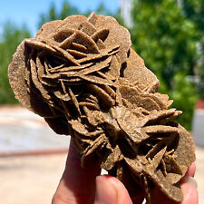 229G Natural Desert Rose Original Mineral Specimen Stone Spirit Restoration picture