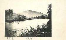 Postcard RPPC C-1910 New York Hamer Ausable River Sentinal Peak 23-3972 picture