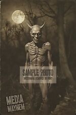 The Devil in the Pale Moonlight Print 4x6 Oddity Photo #184 picture