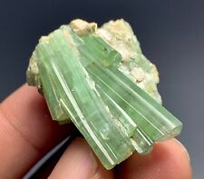 100 Cts Natural Tourmaline Crystal Bunch from Afghanistan. picture