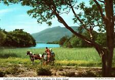 VINTAGE CONTINENTAL SIZE POSTCARD TRADITIONAL JAUNTING CAR MUCKROSS PARK IRELAND picture