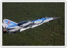 aircraft Mikoyan MiG-31 forest military aircraft vehicle military 2055 picture