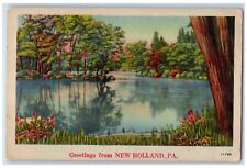 c1940 Greetings From New Holland River Lake Flower Pennsylvania Vintage Postcard picture