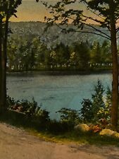 Vintage Litho Postcard 1929 Ephemera Lake Scene Greetings From Prescott Ark NYCE picture