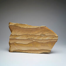 Genuine Sandstone Slice from Arizona (4.5 lbs) picture
