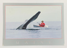 North Atlantic Right Whale Maine Postcard Posted 1997 picture