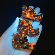 1pc Natural Yooperlite Dragon Head Crystal Quartz Raw Stone Fluoresce Sodalite picture