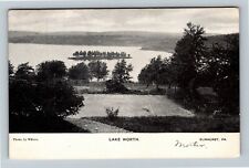 Elmhurst PA-Pennsylvania, Aerial View Lake Worth, c1909 Vintage Postcard picture