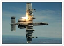 aircraft military Fairchild Republic A-10 Thunderbolt II military aircraft 2319 picture