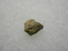 NWA 1877 Meteorite OLIVINE DIOGENITE RARE Northwest Africa HED Achondrite IMCA picture