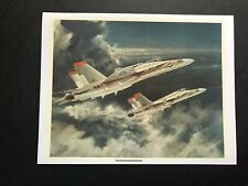 MCDONNELL DOUGLAS PRODUCED F-18 HORNET ARTIST CONCEPT MINT picture
