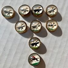 LOT OF 9 TRUE VINTAGE  INTAGLIO HUNTING DOGS UNDER GLASS -METAL PICTURE BUTTONS picture