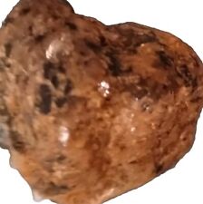 NWA 1877 Meteorite OLIVINE DIOGENITE RARE Northwest Africa HED Achondrite 26 Gms picture