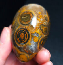 Rare 47G Natural Mongolia Gobi Eye Agate Crystal Collection Stone Healing ZZ121 picture
