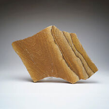 Genuine Sandstone Slice from Arizona (7 lbs) picture