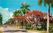 Greagor Blvd Fort Myers Florida old car Poinciana Palms FL Postcard picture