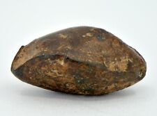 9.29 gram NWA 859 TAZA meteorite - Ungrouped Iron Meteorite I TOP METEORITE picture