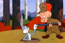 Looney Tunes Bugs Bunny  and Elmer Fudd  8.5x11  Photo Print picture