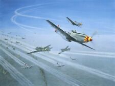 TOP COVER by Gerald Coulson Generals Edition signed by 8 USAAF & Luftwaffe Aces picture