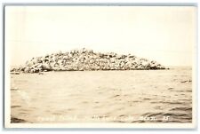 c1940's Spirit Island Mille Lacs Lake Minnesota MN RPPC Photo Vintage Postcard picture