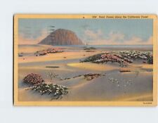 Postcard Sand Dunes Along the California Coast picture