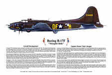 B-17F, Memphis Belle, P-51 Mustang Ace, two, Aviation Art Prints, Ernie Boyette picture