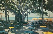 1957 Honolulu HI Postcard Moana Hotel Banyon Tree Court picture