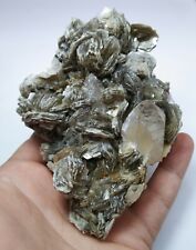 Amzing quartz with muscovite mica on matrix picture