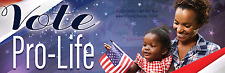 Vote Pro LIfe Pro-Life Bumper Sticker picture