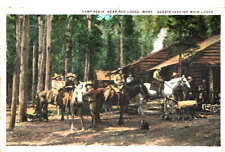 Vintage Camp Senia Near Red Lodge MT Main Lodge Postcard J.L. Robbins Co. A10 picture