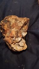 petrified fossilised agate from East Tennessee picture