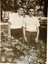 1948 Young Handsome Guys Ukraine Students Vintage Photo Snapshot picture
