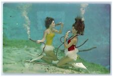 1955 Spring Mermaids Underwater Picnic West Coast Weeki Wachee Florida Postcard picture
