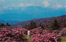 Rhododendron Garden Roan Mountain North Carolina NC Tennessee TN Postcard picture