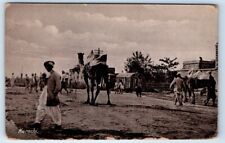 Camel scene KARACHI Pakistan Postcard picture