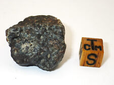NWA 869 meteorite. L3-6 22.91 grams. Individual. picture