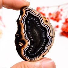 100.5Cts. Natural Black Botswana Agate Fancy 49X34X7 mm Cabochon Loose Gemstone picture