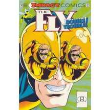 Fly (1991 series) #12 in Near Mint minus condition. DC comics [y~ picture
