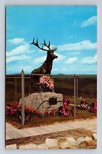Mohawk Trail NY-New York, The Elk on Mohawk Trail, Antique Vintage Postcard picture