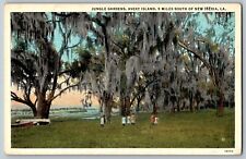 New Iberia, Louisiana - Jungle Garden - View of Trees - Vintage Postcard picture