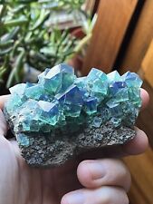 Gorgeous, gemmy Rogerley mine fluorite with daylight fluorescence picture