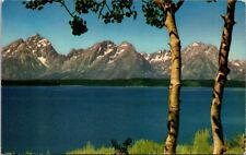 Postcard Peaks Of The Teton Range Jackson Lake Colorado [bz] picture
