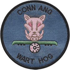 U.S. Air Force 118th Fighter Sq. Conn Ang Patch picture