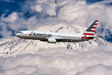 AMERICAN AIRLINES BOEING NEXT GENERATION 737-800 12x18 SILVER HALIDE PHOTO PRINT picture