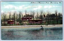 1910's HARRISBURG PENNSYLVANIA PA VIEW IN RESERVOIR PARK ANTIQUE POSTCARD picture