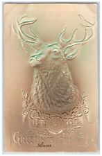 c1910's BPOE Greetings From An Elk Airbrushed Embossed Posted Antique Postcard picture