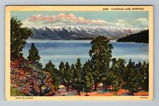 Flathead Lake MT-Montana Scenic Lake & Mountain Vista Vintage Souvenir Postcard picture