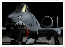 Fairchild Republic A-10 Thunderbolt II aircraft US Air Force Warthog military 41 picture