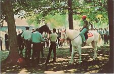 c1960s Saratoga New York horse racetrack saddling in paddock postcard B320 picture